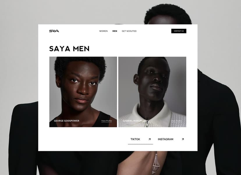Website Design